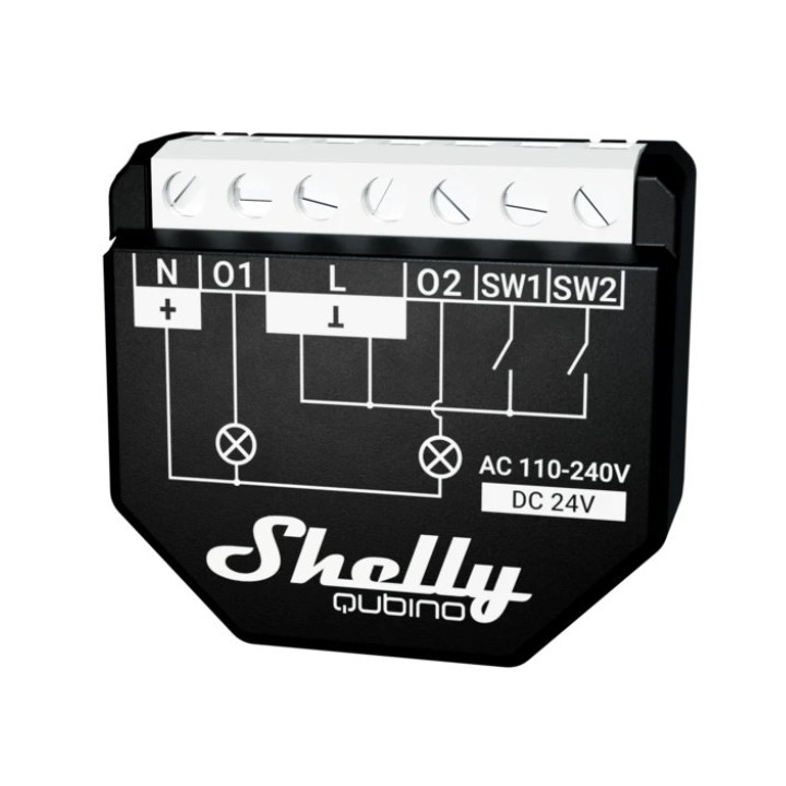Shelly Qubino Wave 2PM