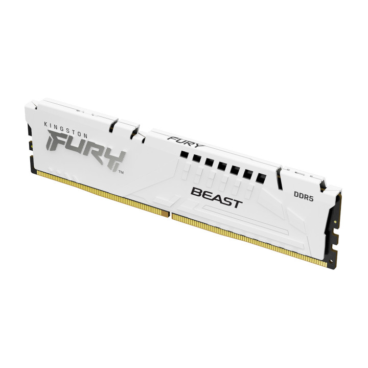 Kingston Technology FURY Beast módulo de memória 16 GB 1 x 16 GB DDR5 5200 MHz