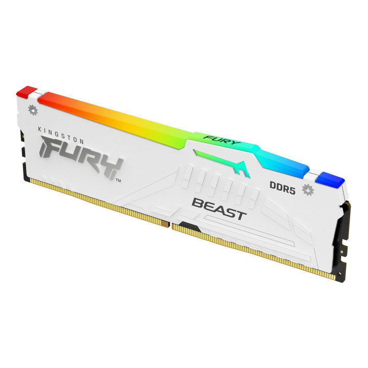 Kingston Technology FURY Beast RGB módulo de memória 32 GB 1 x 32 GB DDR5 5600 MHz