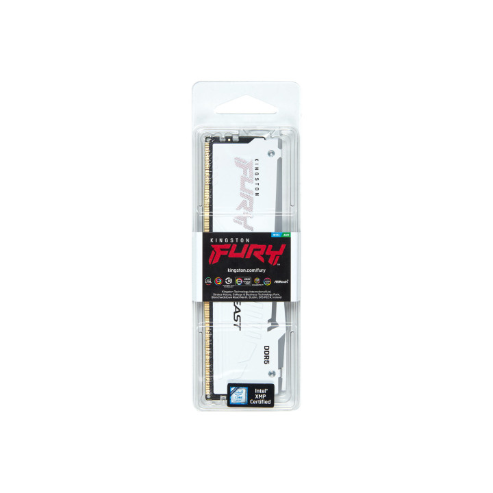 Kingston Technology FURY Beast RGB módulo de memória 32 GB 1 x 32 GB DDR5 5600 MHz