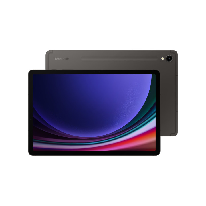 Samsung Galaxy Tab S9 SM-X710N 256 GB 27,9 cm (11") Qualcomm Snapdragon 12 GB Wi-Fi 6 (802.11ax) Android 13 Grafite