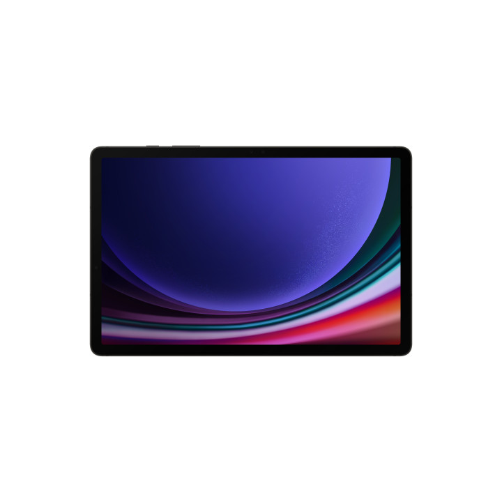 Samsung Galaxy Tab S9 SM-X710N 256 GB 27,9 cm (11") Qualcomm Snapdragon 12 GB Wi-Fi 6 (802.11ax) Android 13 Grafite