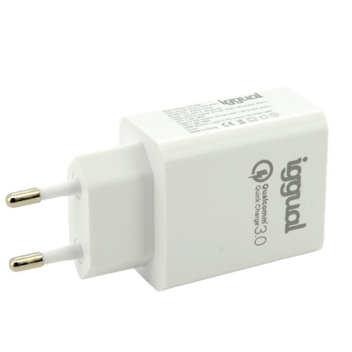 iggual IGG317419 carregador de dispositivos móveis Universal Branco USB Carregamento rápido Interior