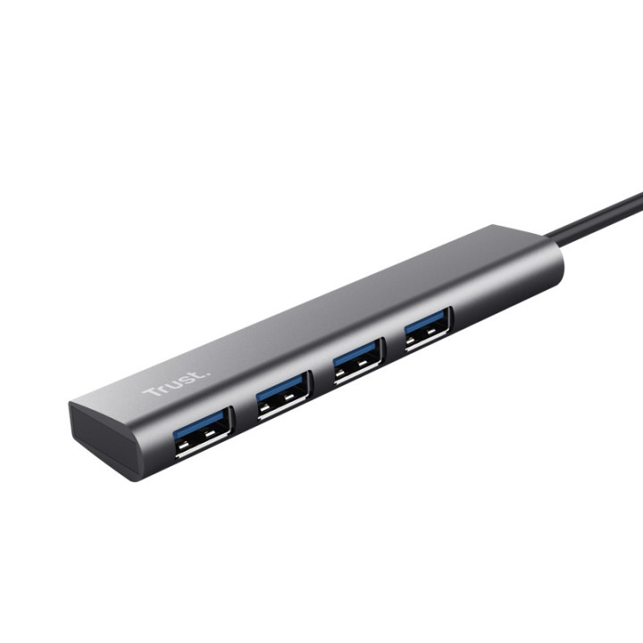 Trust Halyx USB 3.2 Gen 1 (3.1 Gen 1) Type-A 5 Mbit s Preto, Cinzento