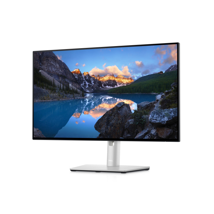 DELL UltraSharp U2422HE LED display 60,5 cm (23.8") 1920 x 1080 pixels Full HD LCD Preto, Prateado