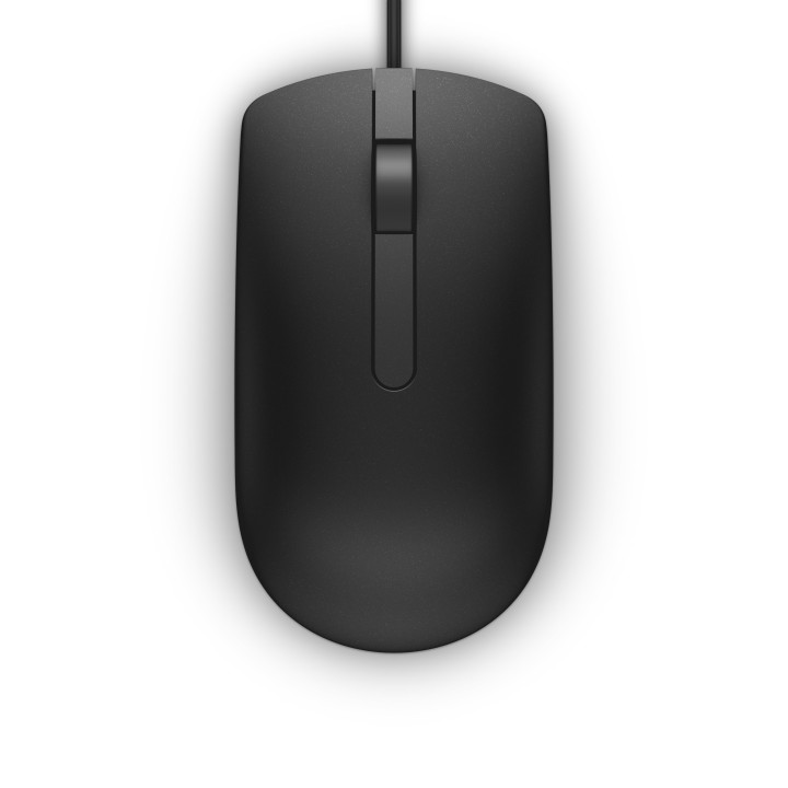 DELL MS116 rato Ambidestro USB Type-A Ótico 1000 DPI