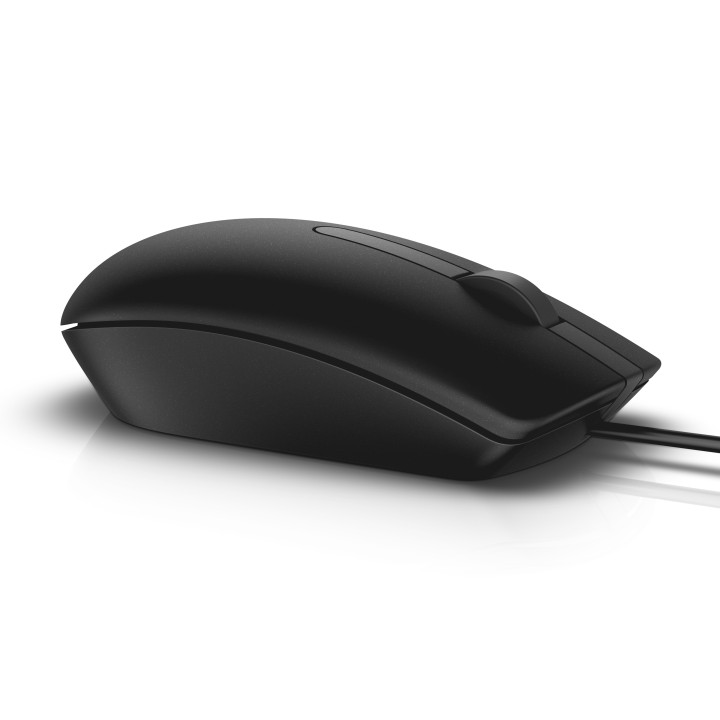 DELL MS116 rato Ambidestro USB Type-A Ótico 1000 DPI