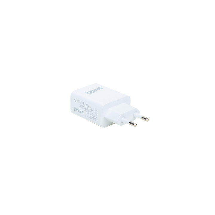 iggual IGG318317 carregador de dispositivos móveis Universal Branco AC Interior