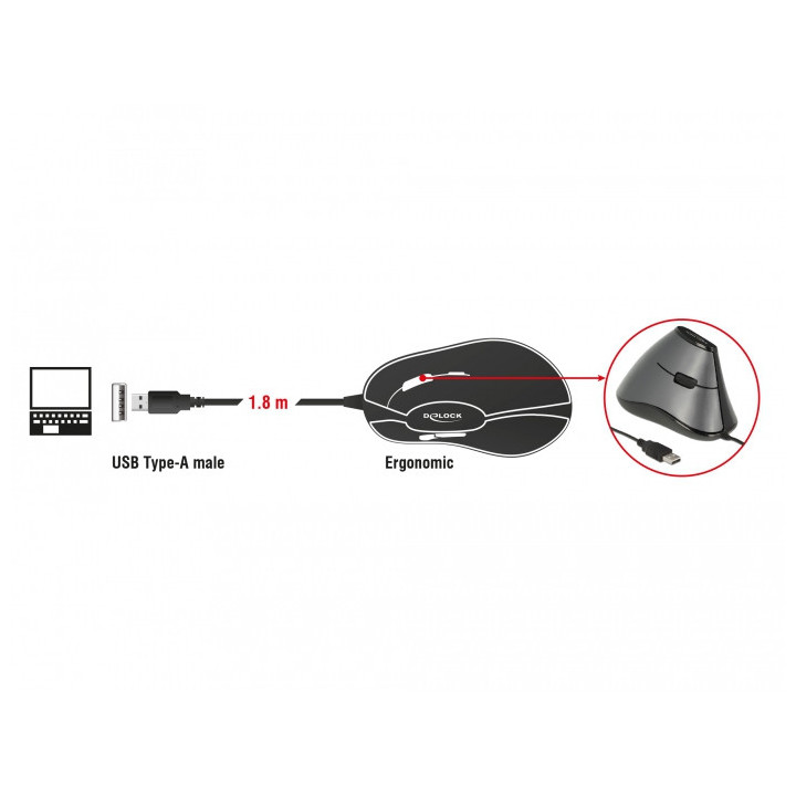 DeLOCK 12527 rato Mão direita USB Type-A Ótico 800 DPI
