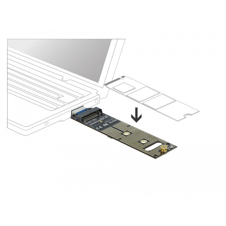 DeLOCK 64069 placa adaptador de interface Interno M.2