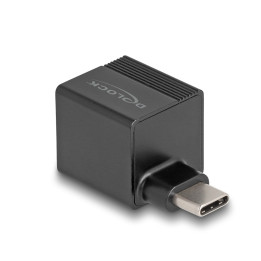 DeLOCK 66462 placa adaptador de interface RJ-45