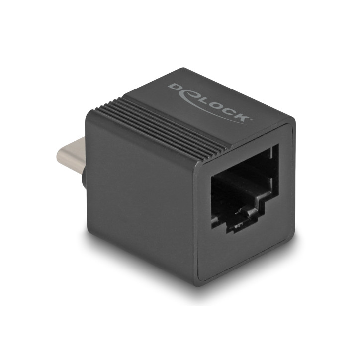 DeLOCK 66462 placa adaptador de interface RJ-45