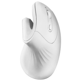 Mars Gaming MMW-Ergopro rato Mão direita RF Wireless Ótico 3200 DPI
