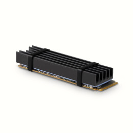 Axagon CLR-M2L10 Sistema de Arrefecimento de Computador Disco de estado sólido (SSD) Dissipador de calor Radiador Preto