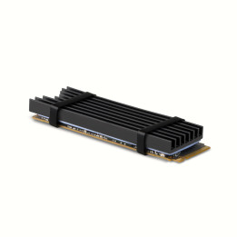 Axagon CLR-M2L6 Sistema de Arrefecimento de Computador Disco de estado sólido (SSD) Dissipador de calor Radiador Preto