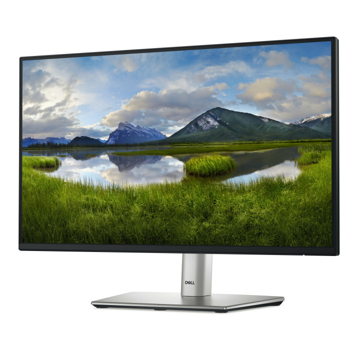 DELL P Series P2225H monitor de ecrã 54,6 cm (21.5") 1920 x 1080 pixels Full HD LCD Preto, Prateado