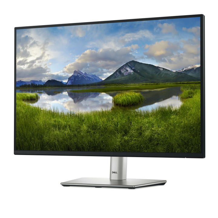 DELL P Series P2425 monitor de ecrã 61,1 cm (24.1") 1920 x 1200 pixels WUXGA LCD Preto