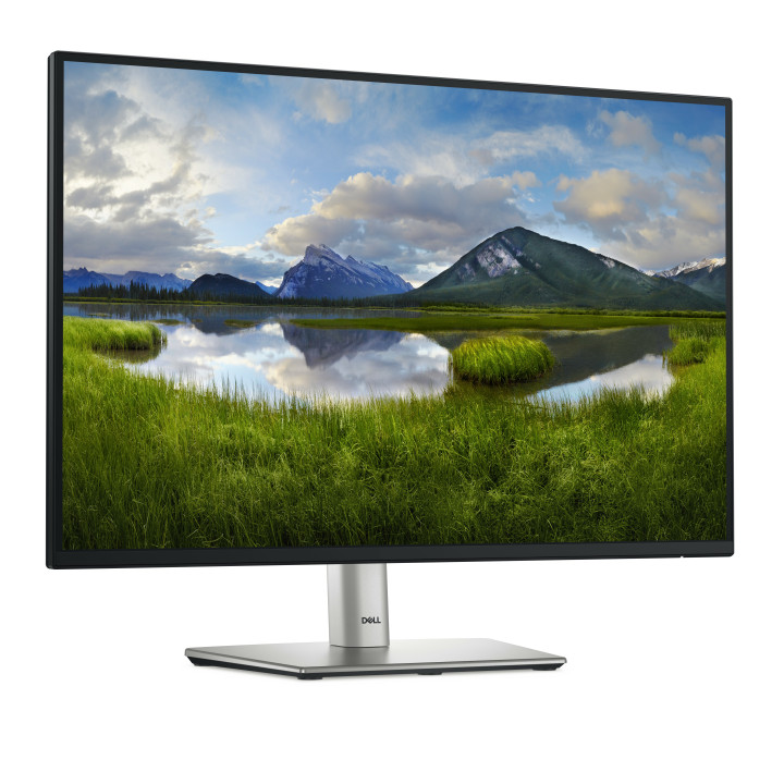 DELL P Series P2425 monitor de ecrã 61,1 cm (24.1") 1920 x 1200 pixels WUXGA LCD Preto