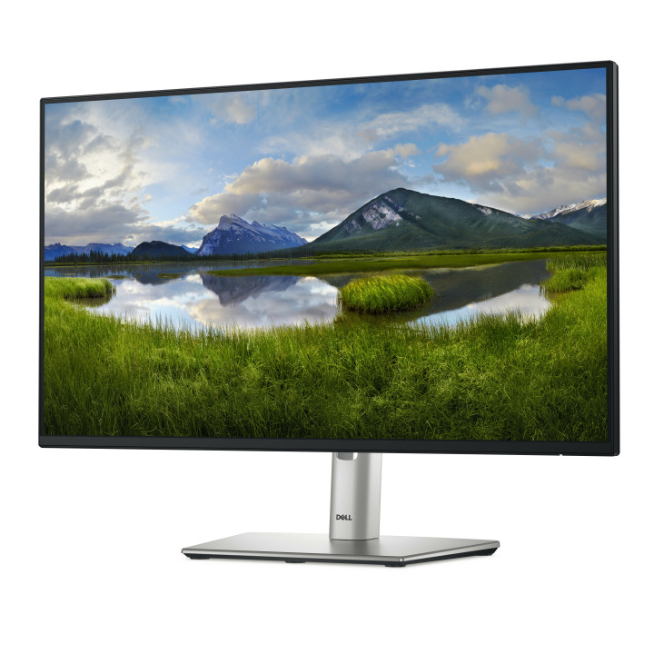 DELL P Series P2425H monitor de ecrã 61 cm (24") 1920 x 1080 pixels Full HD LCD Preto