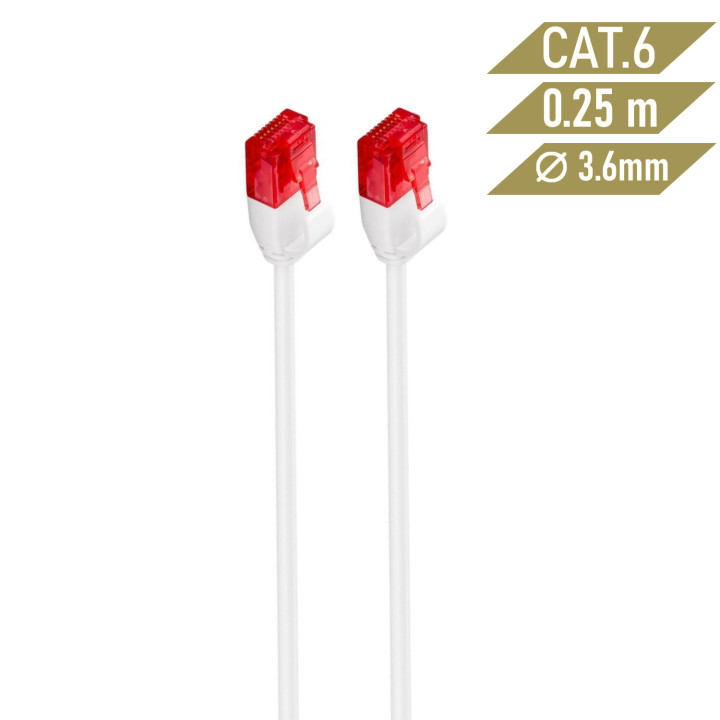 Ewent IM1035 cabo de rede Branco 0,25 m Cat6 U UTP (UTP)