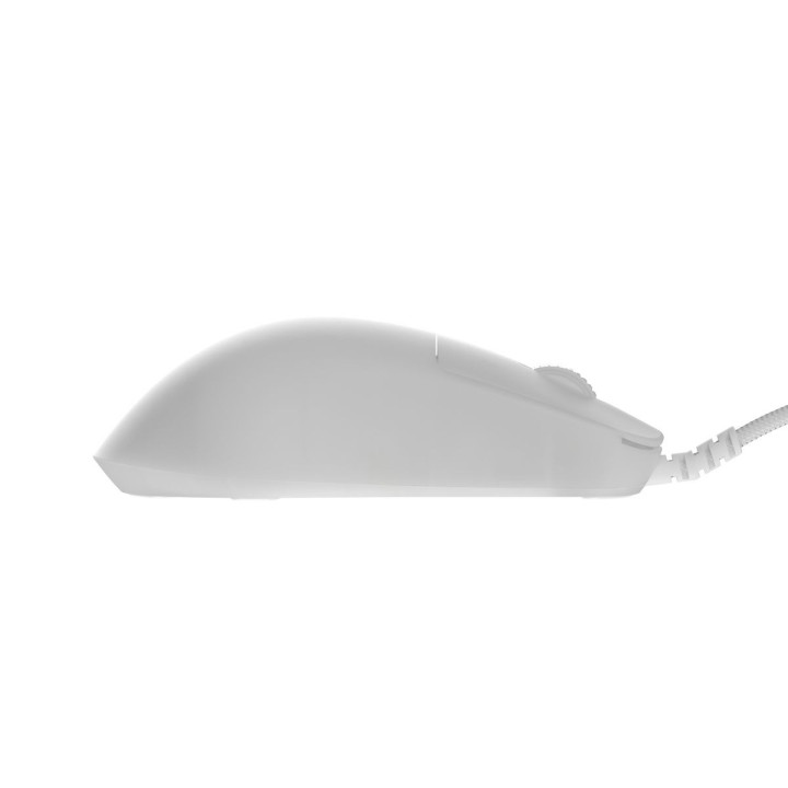 Rato Gaming Endgame Gear OP1 - Branco White Frost