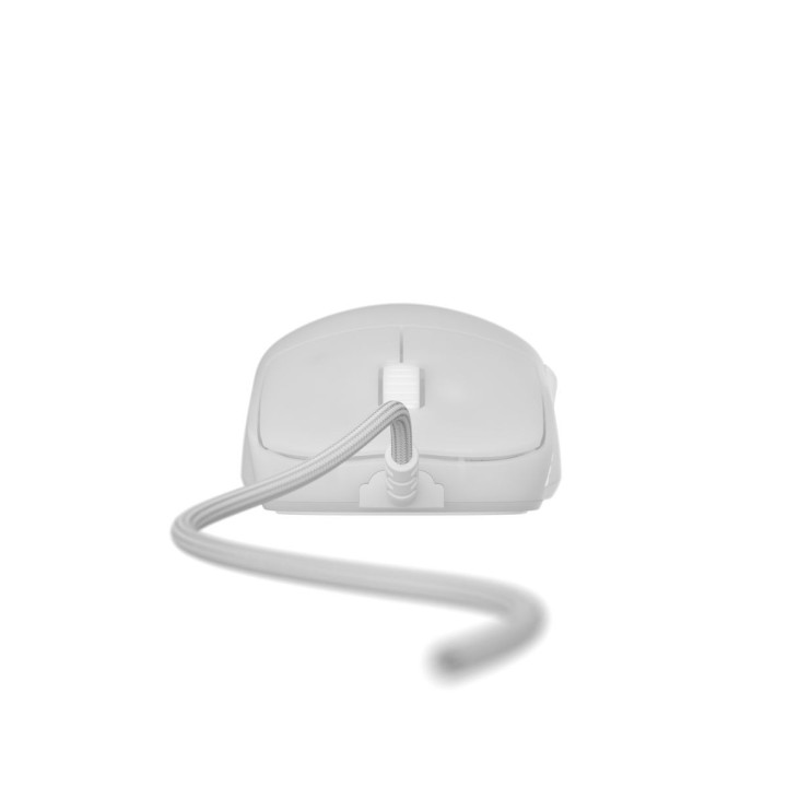 Rato Gaming Endgame Gear OP1 - Branco White Frost