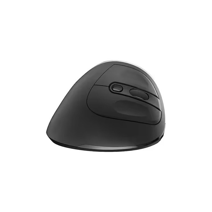 Ewent EW3229 rato Escritório Mão direita RF Wireless Ótico 2400 DPI