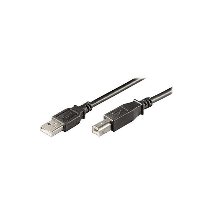 Ewent EC1006 cabo USB USB 2.0 5 m USB A USB B Preto