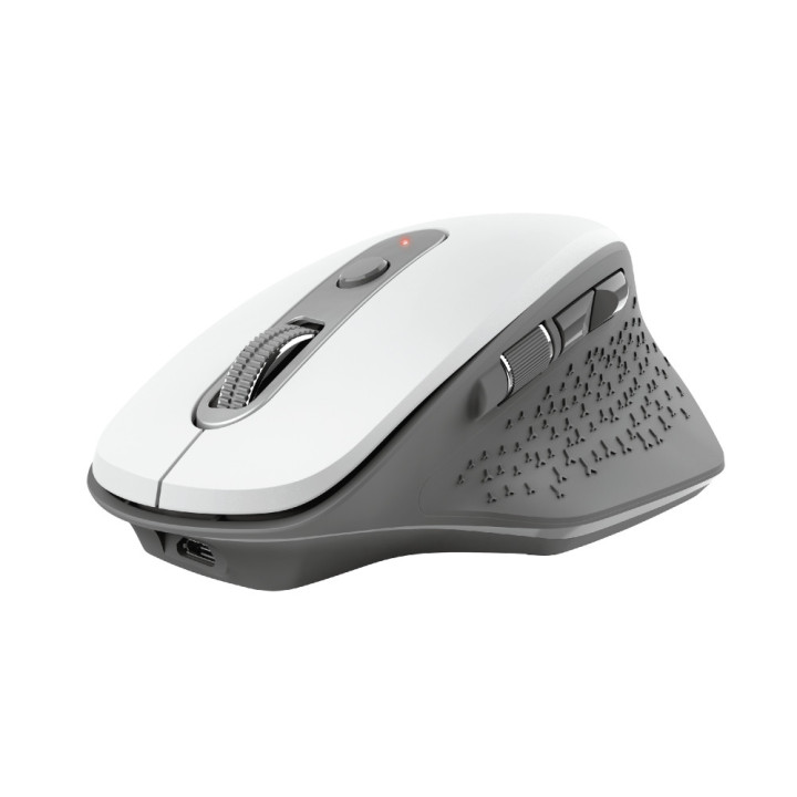 Trust Ozaa rato Escritório Mão direita RF Wireless Ótico 2400 DPI