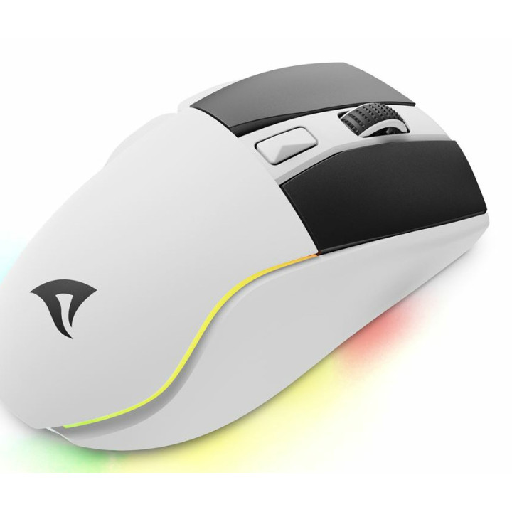 Sharkoon SGM50W rato Jogos Mão direita RF Wireless + USB Type-A Ótico 6400 DPI
