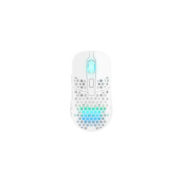 CHERRY XTRFY M42 RGB rato Jogos Ambidestro RF Wireless + USB Type-C Ótico 19000 DPI