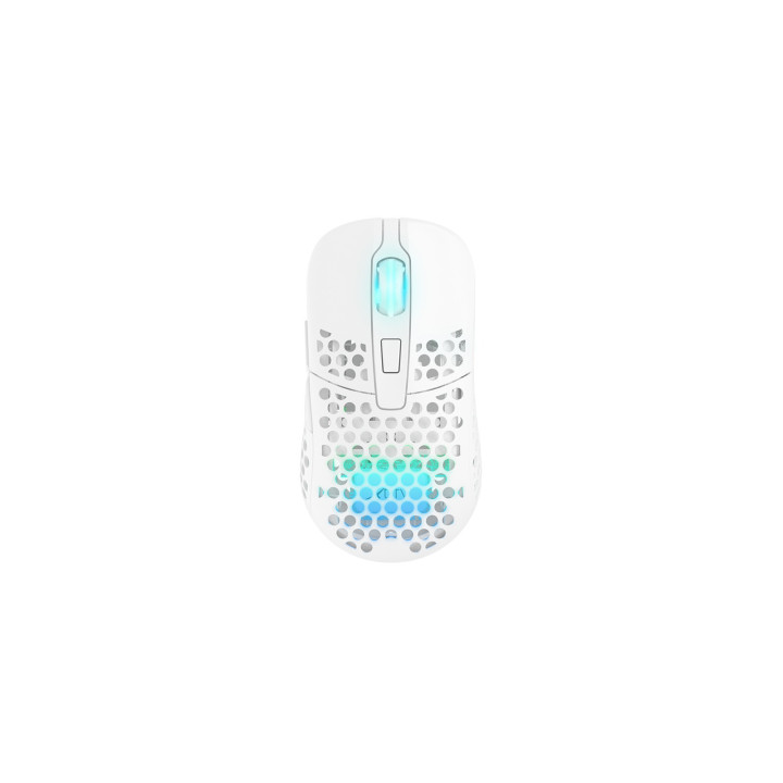 CHERRY XTRFY M42 RGB rato Jogos Ambidestro RF Wireless + USB Type-C Ótico 19000 DPI