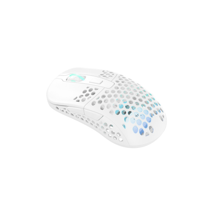 CHERRY XTRFY M42 RGB rato Jogos Ambidestro RF Wireless + USB Type-C Ótico 19000 DPI