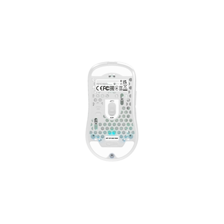 CHERRY XTRFY M42 RGB rato Jogos Ambidestro RF Wireless + USB Type-C Ótico 19000 DPI