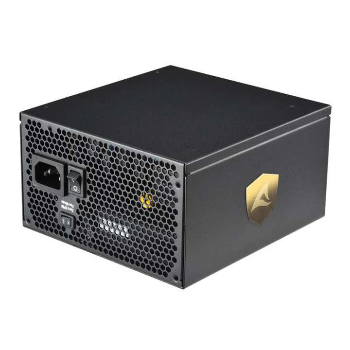 Sharkoon Rebel P30 Gold fonte de alimentação 1300 W 20+4 pin ATX ATX Preto