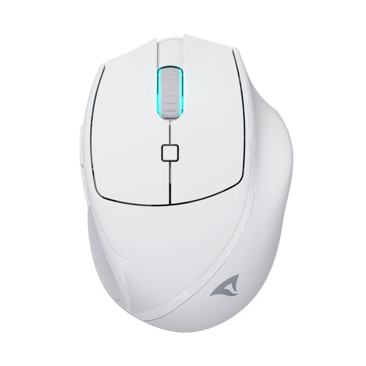 Sharkoon OfficePal M25W rato Jogos Mão direita RF Wireless + USB Type-C Ótico 4000 DPI
