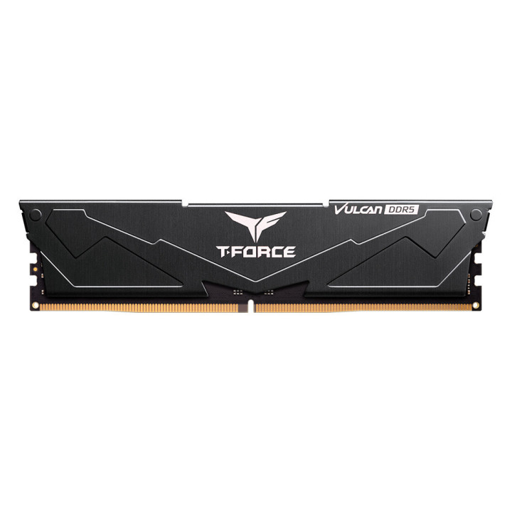 Team Group VULCAN FLBD516G5600HC36B01 módulo de memória 16 GB 1 x 16 GB DDR5 5600 MHz ECC