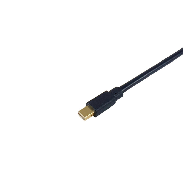 Equip 133442 cabo DisplayPort 2 m Mini DisplayPort