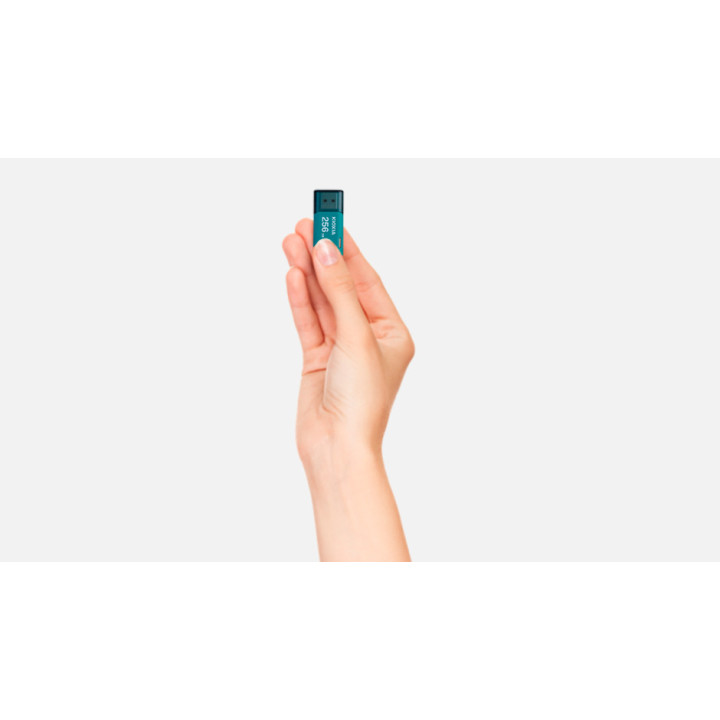 Kioxia LU301L256GG4 unidade de memória USB 256 GB USB Type-A 3.2 Gen 1 (3.1 Gen 1) Azul