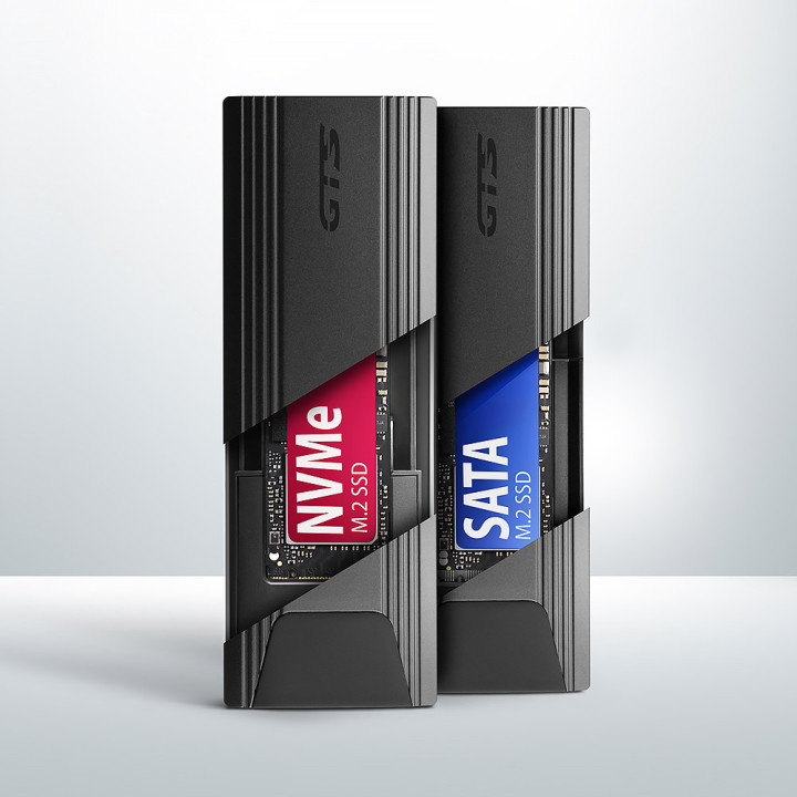 Axagon EEM2-GTS2 Caixa para Discos Rígidos Compartimento SSD Preto M.2