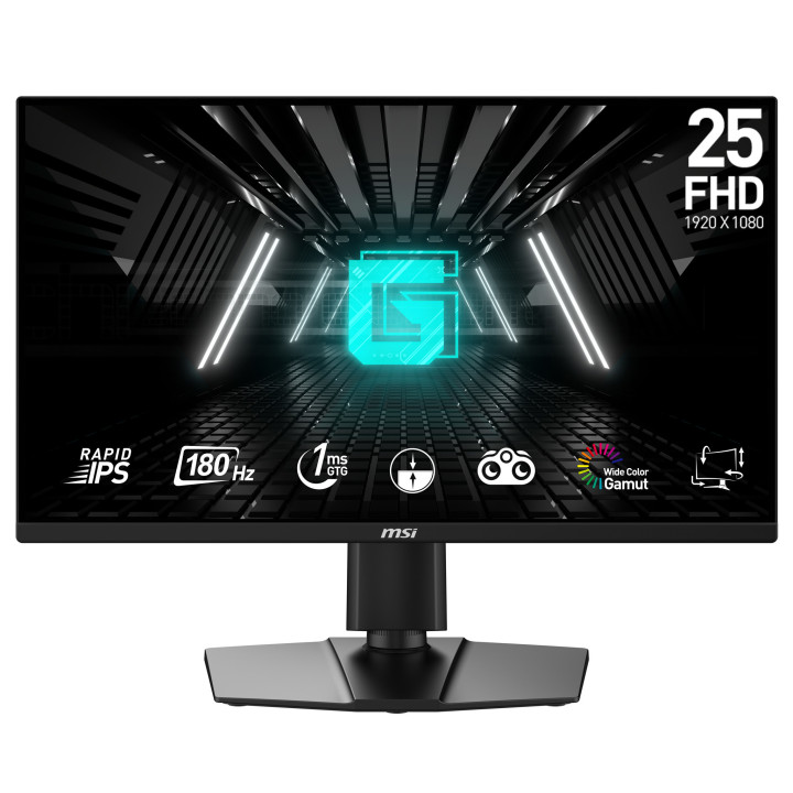 MSI G255PF E2 monitor de ecrã 62,2 cm (24.5") 1920 x 1080 pixels Full HD LCD Preto