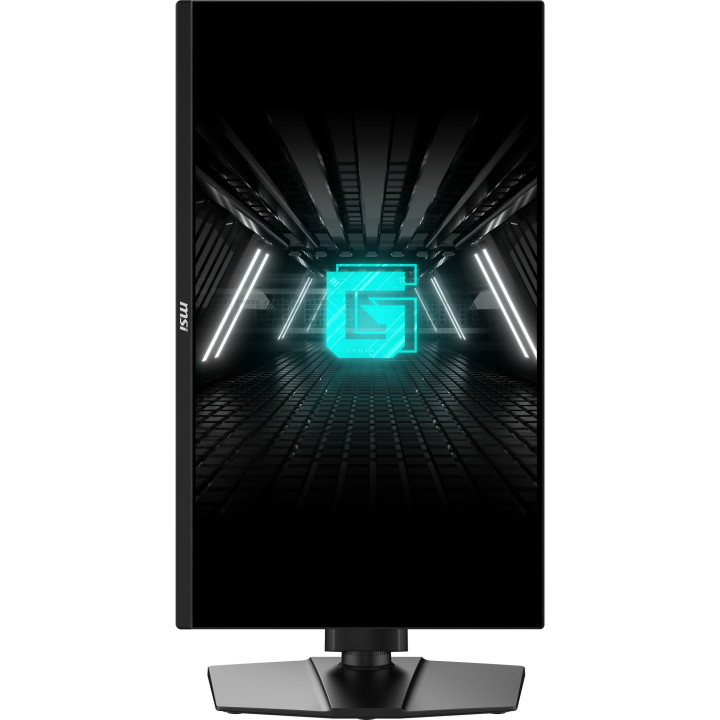 MSI G255PF E2 monitor de ecrã 62,2 cm (24.5") 1920 x 1080 pixels Full HD LCD Preto