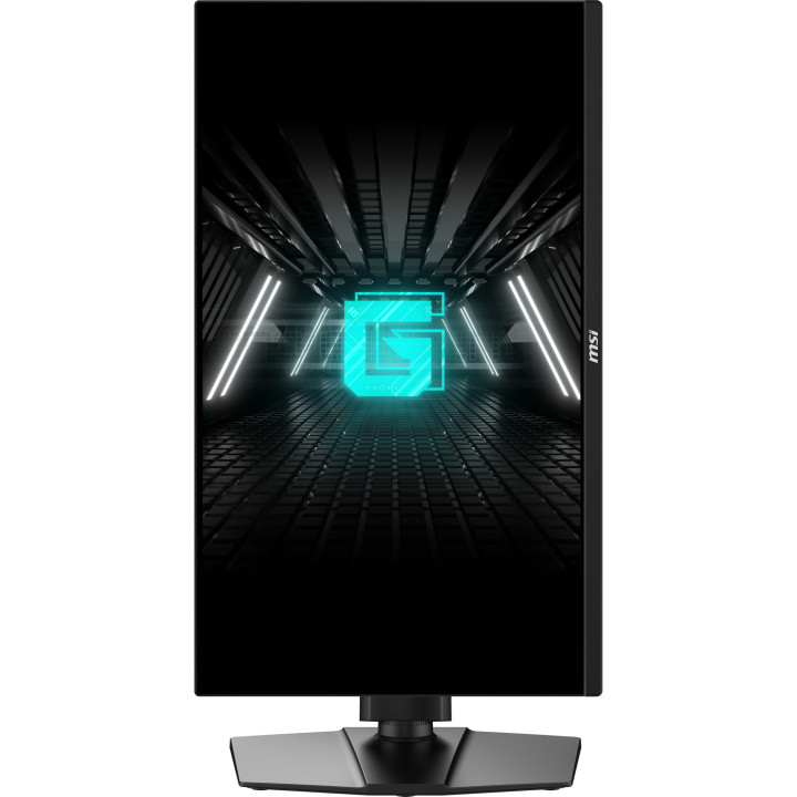 MSI G255PF E2 monitor de ecrã 62,2 cm (24.5") 1920 x 1080 pixels Full HD LCD Preto