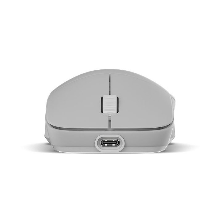Rato Gaming Endgame Gear XM2w 4k Wireless Gaming Mouse - White Frost