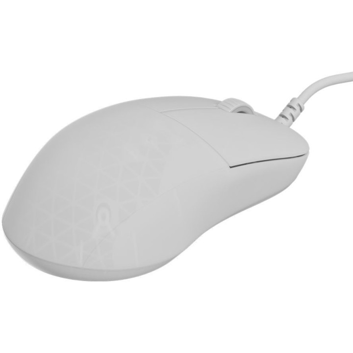 Rato Gaming Endgame Gear XM2 8k Gaming Mouse - White Frost