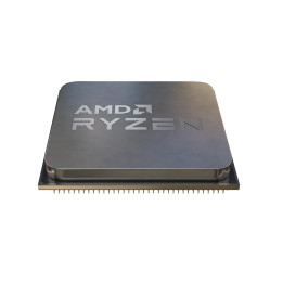 AMD Ryzen 5 5600G processador 3,9 GHz 16 MB L2 & L3
