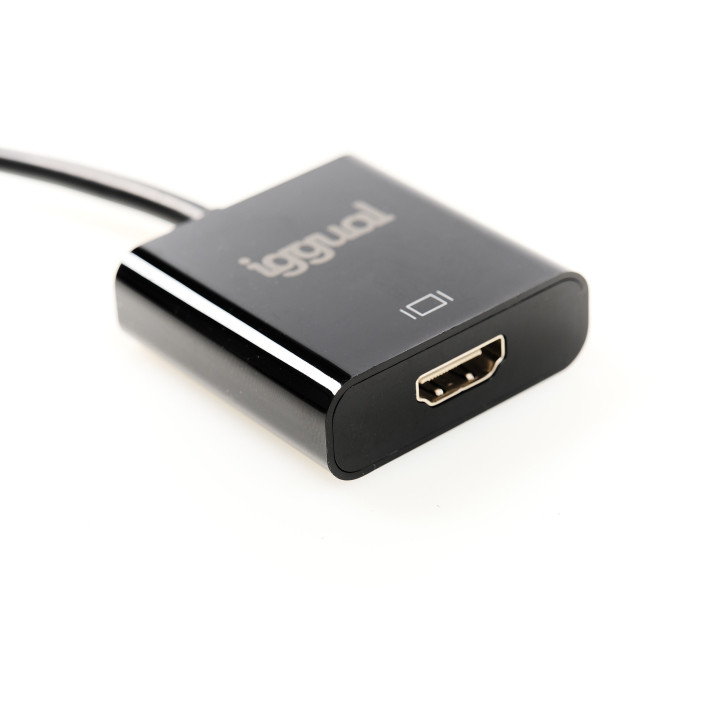 iggual IGG318041 adaptador de cabo de vídeo 0,25 m DisplayPort HDMI Preto