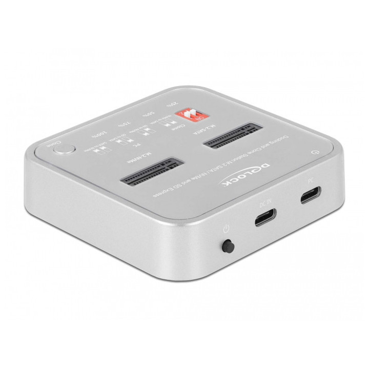 DeLOCK 64138 Docking Station para Discos Rígidos Prateado