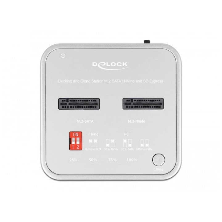 DeLOCK 64138 Docking Station para Discos Rígidos Prateado