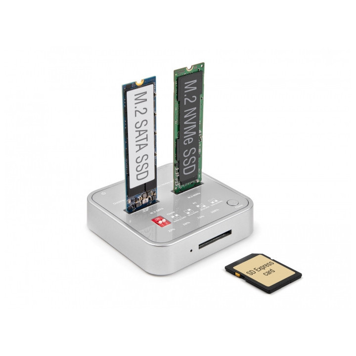 DeLOCK 64138 Docking Station para Discos Rígidos Prateado
